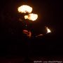 20130720_IMG_4372